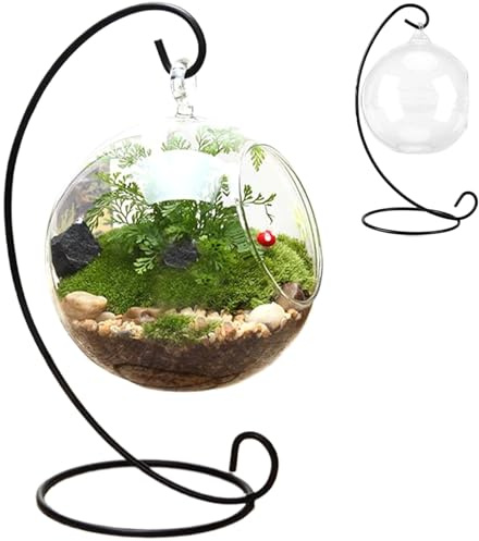 Air DIY Black Iron Stand Clear Glass Terrarium Kit for Plant & Small Succulents