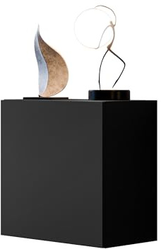 Mirjan24 Hängevitrine Cholon in quadratischer Form (Schwarz) | Kompakter Vitrinenschrank mit Push-to-Open-System und 2 Innenfächern für Deko und Wohnaccessoires