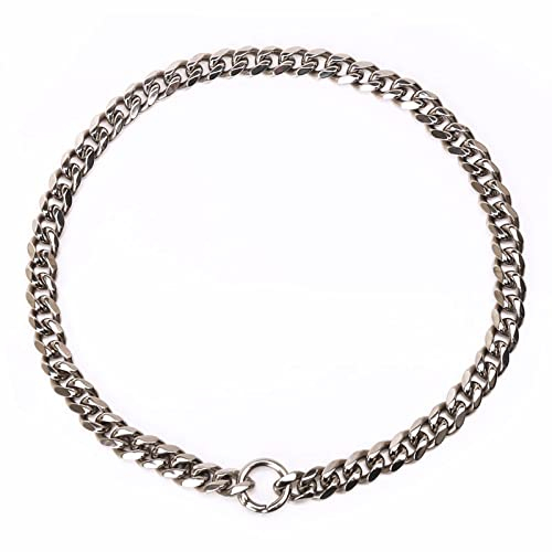 Halsband Für Haustiere Halsband Hund Haustier Halsband Hundehalsband Aus Edelstahl, Mittelgroß, Hundemarke, Hängendes Kettenhalsband, Silber, Schmuck, Haustier, Deutscher Schäferhund, Golden Retriever