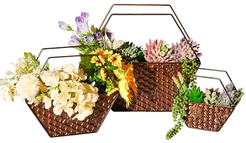 JonesHouseDeco 3 Sets Diamant Bronze Wand Pflanzer Blumentopf Wandhalterung hängende Vase Metall Sukkulenten Pflanzer Pflanzgefäße Home Dekoration Indoor Outdoor K349A01