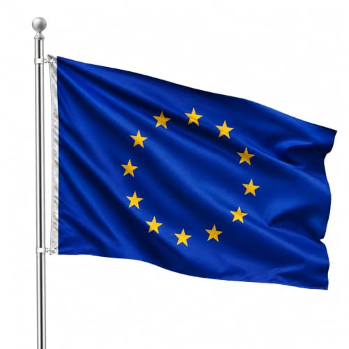 FLAGLY Drapeau Européen 90 x 150 cm - résistant aux intempéries et aux UV, avec œillets (90 x 150 cm, Europe)