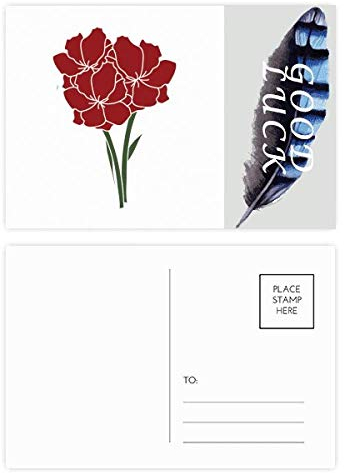 Leaves Plant Carnation Flower Plant Lucky Feather Postcard Set Thanks Card Mailing Side 20pcs