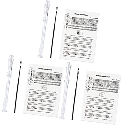 3 Stück 8 Anfänger Blockflöte Sopranblockflöte Aus Kunststoff Altblockflöte Barocke Blockflöte Durchsichtiger Sopran Bansuri-flöte Deutsche Sopranblockflöte Abs Instrument Barock-