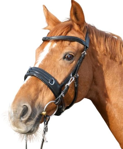 AMKA Reitkappzaum mit Gebissverschnallung zum Longieren und Reiten gebisslos oder mit Gebiss VB, WB, XWB