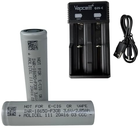 Duel Type-C Battery Charger & Molicel Batteries 3000mAh 18650 P30B 30A Rechargeable Cells – 3.7V Grade A and Durable coming in Protective Plastic Storage Case - safety case.