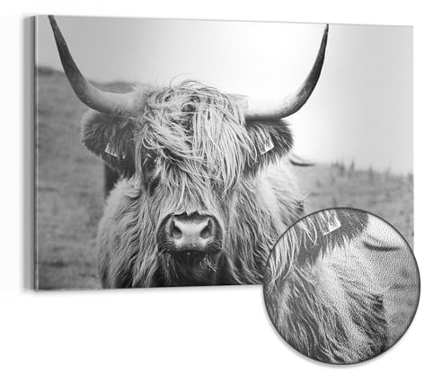 DEQORI Metall Magnettafel | 90x60 cm cm groß | Motiv Zotteliges Hochlandrind | Whiteboard für alle Magnete | Magnetboard Wand-Tafel für Küche & Büro | Design Magnetwand Pinnwand magnetisch