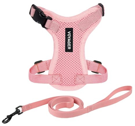 Voyager Step-in Lock Katzengeschirr und reflektierende Katzenleine mit Neoprengriff by Best Pet Supplies - Unterstützt kleine, mittelgroße und große Katzenrassen, Rosa, size XS - 1,5 m