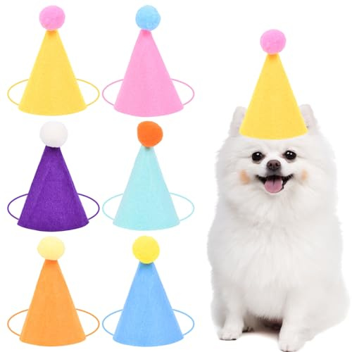 AWSOLAR 6 Stück DIY Mini Partyhüte, Süßer Partyhüte für Hunde, Katzen, Kaninchen
