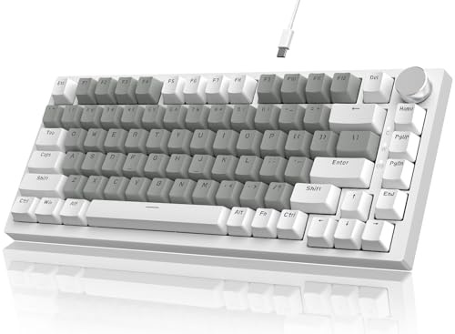 YINDIAO Ajazz AK820 Mekaniskt Tangentbord med Ratt,75% ANSI-Layout,81 Tangenter Trådbundet Speltangentbord,5 Ljudabsorberande Skum,Hot-Swap,Linjär Switch,Vitt Ljus,för PC,MAC,PS4 (Vit & Grå)
