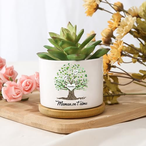 Presentimental Regalo Dia de la Madre Maceta de Cerámica Personalizada Árbol de la Vida con 1-8 Nombres Regalos para Mamá Abuela (B)