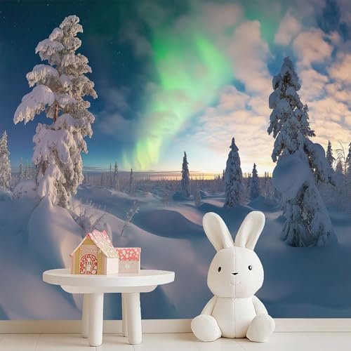 Large Decorative Wall Mural Fantasy Northern Lights Snow - Non Self Adhesive Bedroom Photo Wallpaper Poster Picture, Grey Mural Wallpaper for Living Room TV Background Wall 400 x 280 cm (W x H)