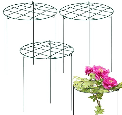 Sekcen 3 Pack 16 x 24 Inch Peony Support Cage Grow Through Plant Supports for Outdoor Plants Peony Ring Hoop Grow Through Grid Stakes