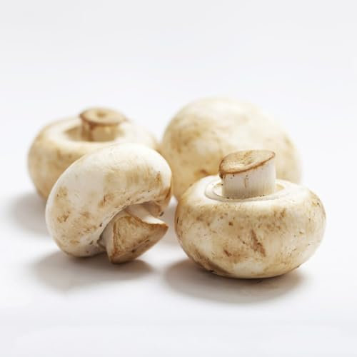 120 pcs pilze samen kräutersamen luftreinigende zimmerpflanzen kräutergarten küche pflanzen für sonnige plätze button mushroom,pilze fungi pilz bohnenkraut samen balkonpflanzen ausgefallene