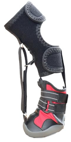 FROMCEO Not Knuckling Boot Brace for Dog Dragging Paws Corrective Dog Shoes Foot Brace Dogs with Feet Issue Corrective Dog Shoes