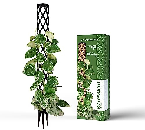 PlantMe Rankhilfe mini, kleine Rankhilfen für Kletterpflanzen, Monstera, Moosstab, Pflanzstab, Pflanzenstütze, small Moss Pole, Kletterhilfe Zimmerpflanzen (40cm Without Filling, Schwarz)