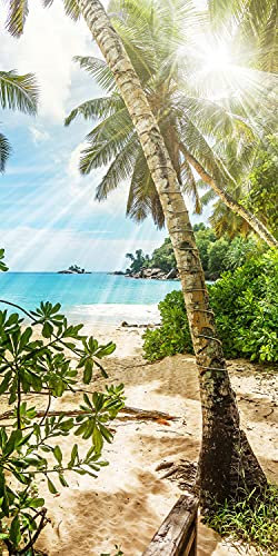 wandmotiv24 Türtapete Palme am Strand, Meer, Sonne, Insel 100 x 200cm (B x H) - Dekorfolie selbstklebend Sticker für Türen, Türfolie, Aufkleber, M1349