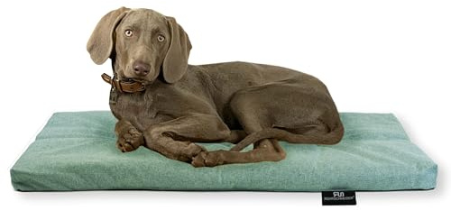 Rohrschneider Hundebett, Anti-Rutsch, kleine - große Hunde, Gr.3 türkis