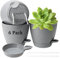 ZEONHEI 6 Pack 15CM Self Watering Plant Pots Indoor, Self Watering Planter with Drainage Holes, Saucer and Water Reservoir for Indoor Outdoor Plants, Grey
