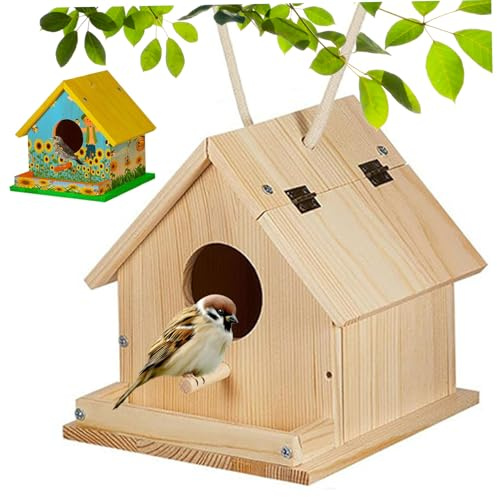 Bird House Kit hölzerne Vogelhaus DIY Maleskit mit Pinsel und Farbe für Kinder 3+