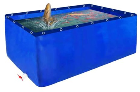 Générique Bassin à koï Hors Sol Portable – Bâche PVC 5 x 4 m, sans Cadre en Acier, Facile à Installer, idéal pour Les Aquariums, Les piscines et l'élevage de koïs. Idéal pour Le Jardin !