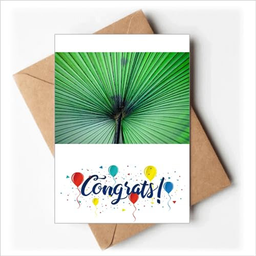 Foto Frische Bild Natur Hochzeitskarten Glückwunsch Grußkarten Umschläge