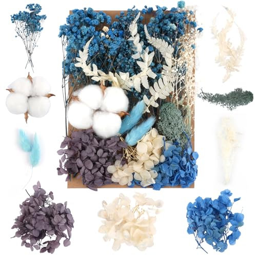 Trockenblumen,Natürliche Gemischte Getrocknete Blumen,Trockenblumen Zum Basteln,Trockenblumen Klein für DIY Epoxidharz Scrapbook Zubehör Handwerk Karten Machen (Blau)