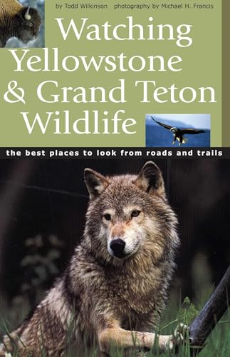 Watching Yellowstone and Grand Teton Wildlife: The Best Places to Look from Roads and Trails