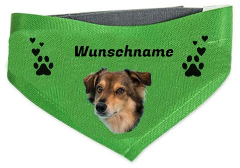 Kiwistar - Hundehalstuch M - personalisiert mit Foto und Wunschtext - individuell Bedruckt - Geschenkidee für Hunde - Halsband Tuch zum Selbstgestalten - Accessoire für Haustiere