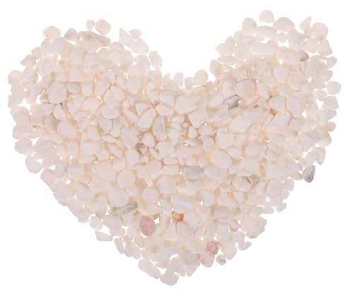 Chencunquangod 500 g di ghiaia naturale decorativa, ciottoli naturali lucidati per vasi di piante, rocce di fiume per paesaggistica, riempitivi per vasi, decorazioni per acquari e giardini