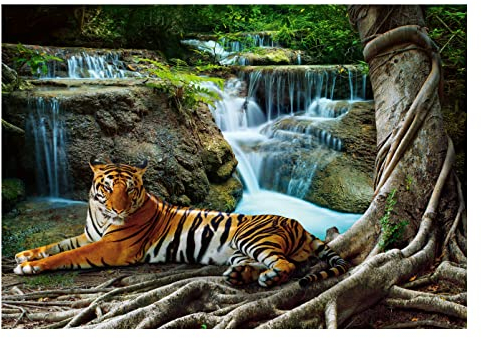 WallArena - Vlies Fototapete 3D Effekt Tiger Dschungel Tiere Wasserfall 254x184 cm - Fototapeten - Tapeten - für Wohnzimmer Schlafzimmer - Vliestapete Wandtapete Tapete 3D Effekt- inkl. Kleister