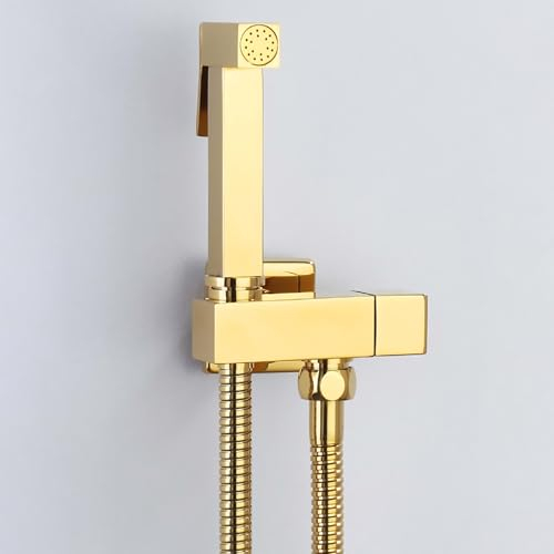 YYBAO Bidet Handbrause Set für WC, Messing, Wandmontiert, Handheld Bidet Sprayer für Toilette, Titangold