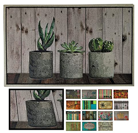 LUCA HOME - Felpudo Entrada casa de Goma-Flocada 40x70 cm Arizona Forma Base Antideslizante- fácil Limpieza- Felpudo Absorbente Acolchado- Fepudo para Exterior e Interior (Cactus)