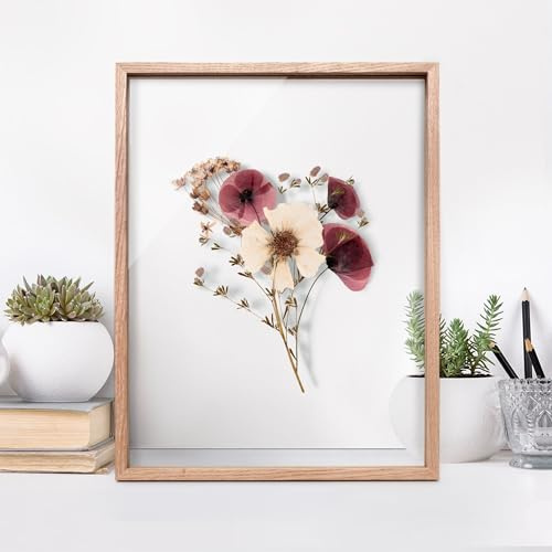 micasia Doppelglasrahmen ohne Rückwand Bilderrahmen Leerrahmen Eiche mit Glas - Made in Germany - Rahmen für gepresste Blumen Fotorahmen handgefertigt DIY Wohnzimmer Schlafzimmer Küche (20x30cm)