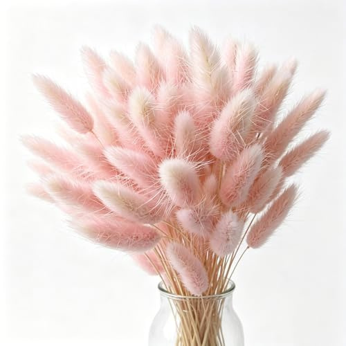 FENGCHUANG 60 Pièces Herbe de Queue de Lapin Séchée Herbe De La Pampa Fleurs Séchées Ne Se Fanent Jamais Fleur Sechees pour Décoration de Maison Mariage(Rose)
