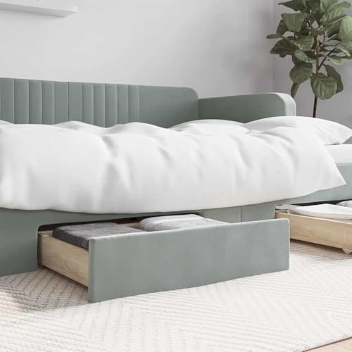 WXGTBKPR 2X Bettschubladen Hellgrau Unterbettkommode aus Holzwerkstoff mit Samtbezug, Bettkasten mit Rollen für zusätzlichen Stauraum im Schlafzimmer, 67x50x16 cm