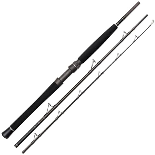 Westin W2 Boat 7' / 210cm XXH 200-600g - Spinnrute, Bootsrute, Meeresrute, Rute zum Hochseeangeln