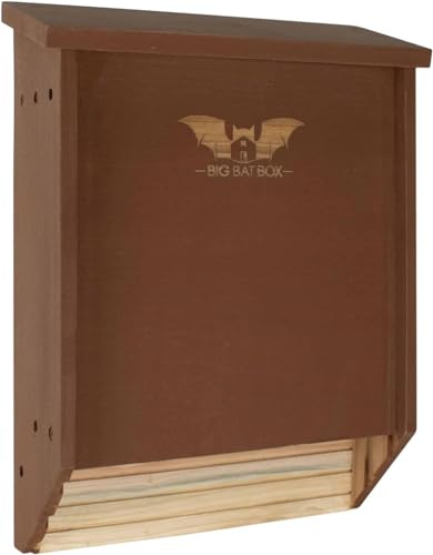 BIGBATBOX Fledermauskasten Groß - 2 Kammern, Braunes Zedernholz, 75 | Montage an Mast, Wand oder Baum, wetterfester Fledermauskasten für den Garten, leicht aufzuhängen, ideal gegen Mücken.