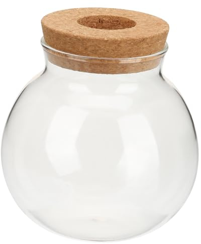 DOITOOL Vase Hydroponique Verre Décoratif pour Propagation de Plantes Vase à Fleurs Verre Élégant pour Bureau et Maison Support pour Plantes Intérieur