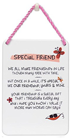 Zinn-Plaque mit inspirierenden Worten Special Friend (Für einen besonderen Freund)