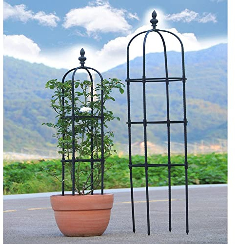 RADAAB Tuteur Obélisque de Jardin H 90cm 120cm 150cm 180cm 210cm Colonne rosiers Support pour Plantes grimpantes Ø 20cm 25cm 28cm 32cm Obélisque de Jardin (Size : 9.8/25cm Dia. x 59/150cm H)