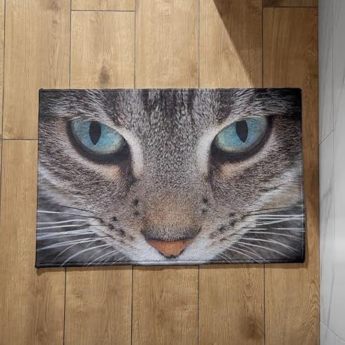 CEVAN Abtreter Fußmatte Außen Mit Motiv Fussmatte Aussen Bunt Gross Katzen Und Hunde Schmutzfangmatte Innen Mit Motiv Groß Fussmatte Gross 50x80cm