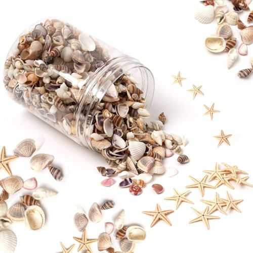HAPY SHOP 1200 Pieces Tiny Sea Shells Small Natural Starfish Mixed Ocean Beach Spiral Seashells for Home Decorations,Wedding Decor,Candle Making,Beach Theme Party,DIY Crafts and Vase Filler