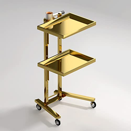 Friseur Trolley Friseurwagen Tablett Gold Aluminium Arbeitswagen Mit ZubehöR fön StäNder TäTowierungen Trolley Salons GeschäFte Mit Metallring Rollcontainer HöHenverstellbar SchöNheit