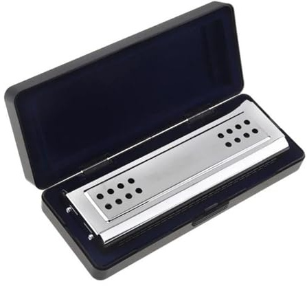 Mundharmonika-Set Professionelle 24 Löcher C&G Silber Doppelseitige Tremolo-Mundharmonika Für Erwachsene Anfänger Mundharmonika-Set