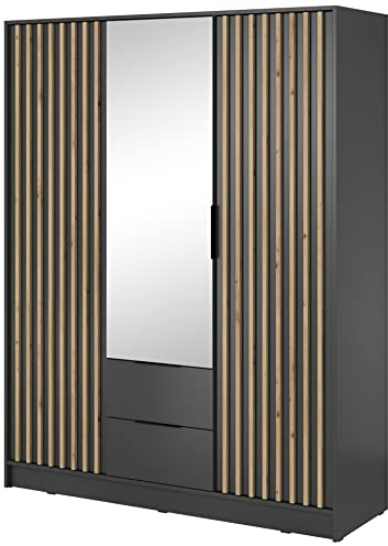 Furniture24 Kleiderschrank Nelly 3D Schrank mit Spiegel 2 Türiger 2 Schubladen Graphite Drehtürenschrank