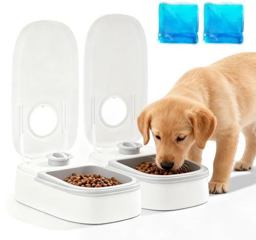 Dispensador automático de alimentos, 350 ml*2 comederos automáticos, 2 comidas, comedero automático para gatos, comida seca y húmeda, temporizador de 48 horas, comedero automático para gatos y perros