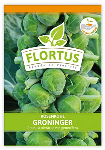 FLORTUS Rosenkohl Groninger | Gemüsesamen | Kohlsamen | Rosenkohlsamen | Samen zur Anzucht für Garten, Balkon, Küche & Fensterbank