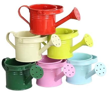 Annaffiatoio da giardino in ferro zincato, design antiruggine, manico ergonomico, beccuccio preciso adatto per fiori e piante grasse, annaffiatoio compatto per piante grasse cura
