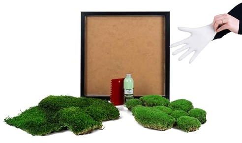 DIY Moosbild selber machen, Wandbilder selber kleben, Moosbilder selbst gestalten Do it yourself Set Moos kleben Wanddeko herstellen Wandbild Komplett-Set Bilderrahmen (schwarz, 45 x 45 cm)