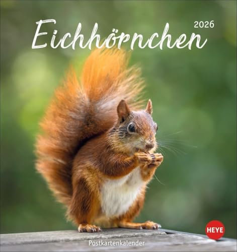 Eichhörnchen Postkartenkalender 2026: Dekorativer Monats-Tischkalender zum Aufstellen oder Aufhängen. Fotokalender voll niedlicher Eichhörnchenbilder, ... und Verschicken. (Postkartenkalender Heye)